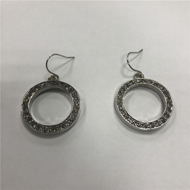 Hoop fish hook earrings with stainess steel