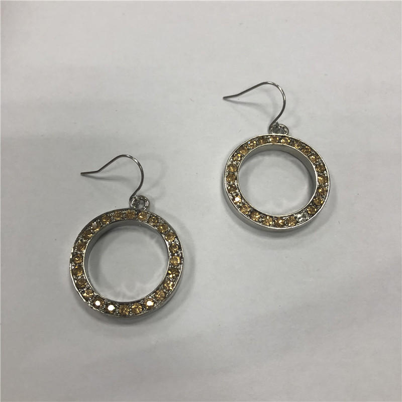 Hoop fish hook earrings with stainees steel
